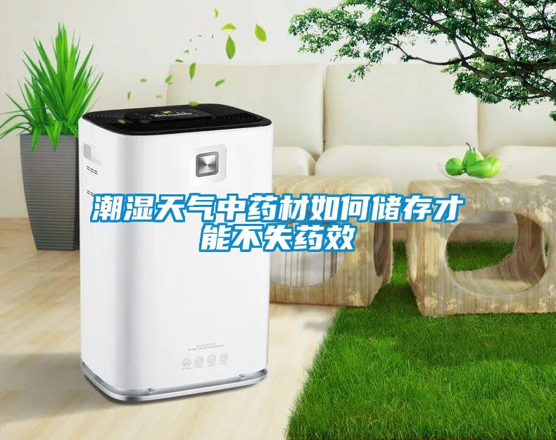 潮濕天氣中藥材如何儲(chǔ)存才能不失藥效