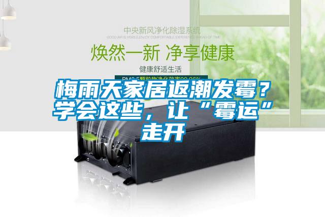 梅雨天家居返潮發(fā)霉？學會這些，讓“霉運”走開