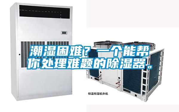 潮濕困難？一個(gè)能幫你處理難題的除濕器。