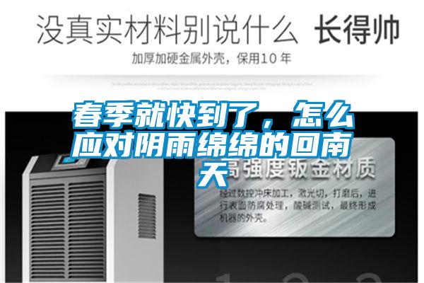 春季就快到了，怎么應對陰雨綿綿的回南天