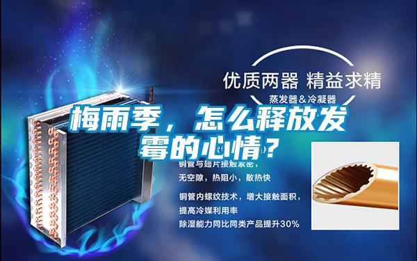 梅雨季，怎么釋放發霉的心情？