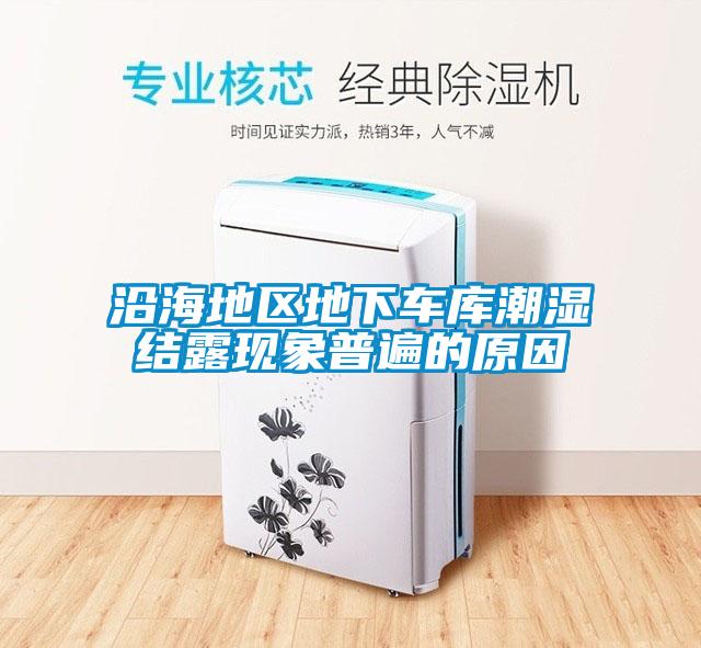 沿海地區(qū)地下車庫潮濕結(jié)露現(xiàn)象普遍的原因