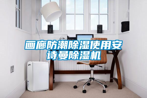 畫廊防潮除濕使用安詩曼除濕機
