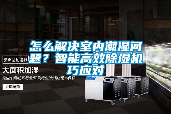 怎么解決室內潮濕問題？智能高效除濕機巧應對