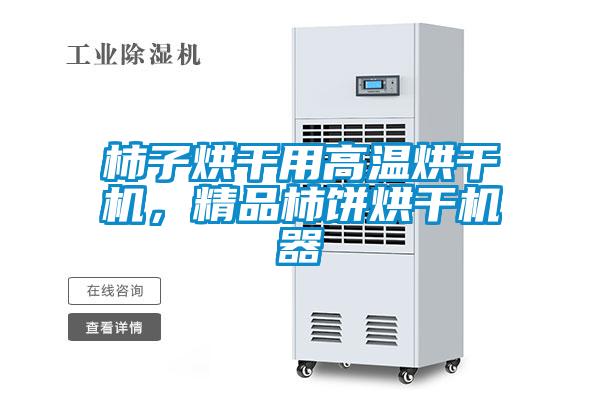 柿子烘干用高溫烘干機，精品柿餅烘干機器