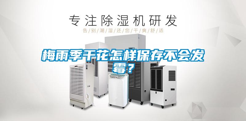 梅雨季干花怎樣保存不會發霉？