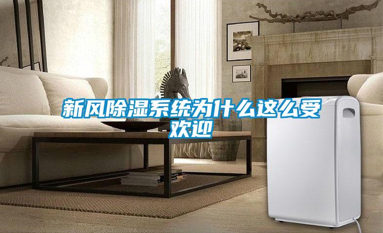新風(fēng)除濕系統(tǒng)為什么這么受歡迎