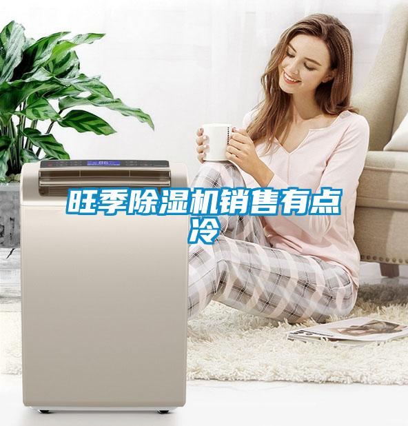 旺季除濕機銷售有點冷