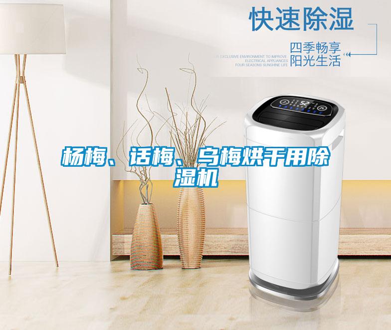 楊梅、話梅、烏梅烘干用除濕機