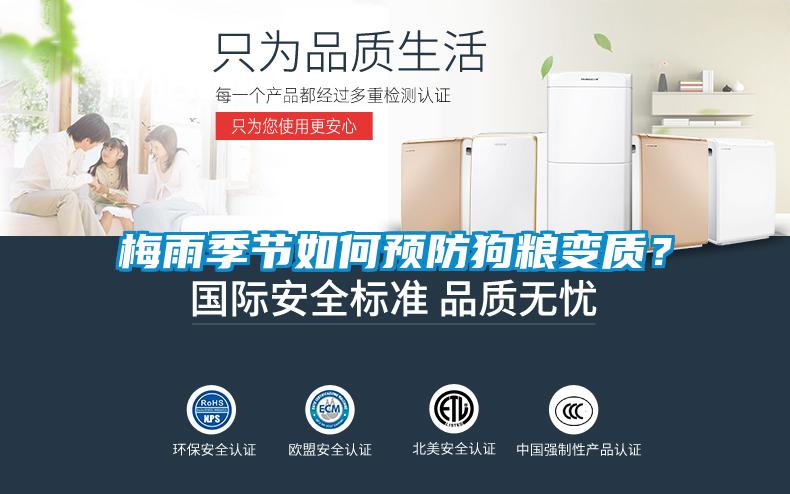 梅雨季節如何預防狗糧變質？