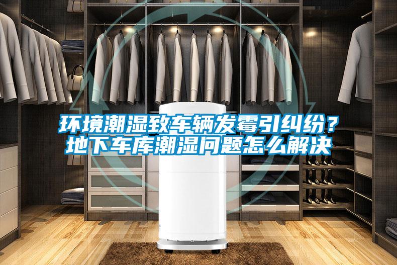 環(huán)境潮濕致車輛發(fā)霉引糾紛？地下車庫(kù)潮濕問(wèn)題怎么解決
