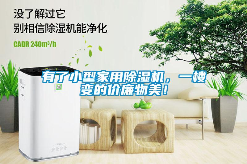 有了小型家用除濕機(jī)，一樓變的價(jià)廉物美！