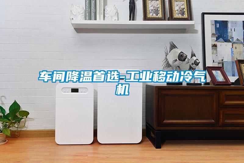車(chē)間降溫首選-工業(yè)移動(dòng)冷氣機(jī)