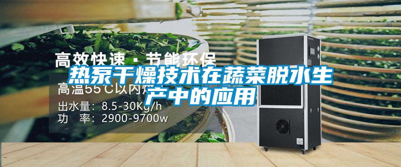 熱泵干燥技術(shù)在蔬菜脫水生產(chǎn)中的應(yīng)用