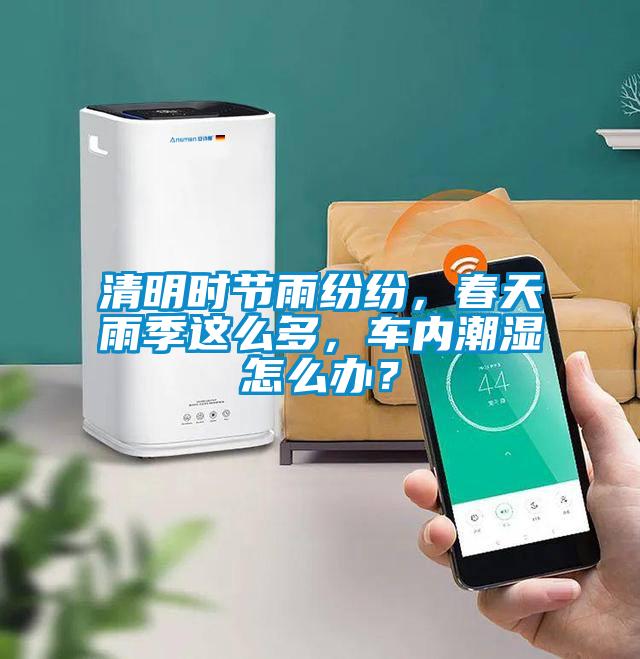 清明時節雨紛紛，春天雨季這么多，車內潮濕怎么辦？