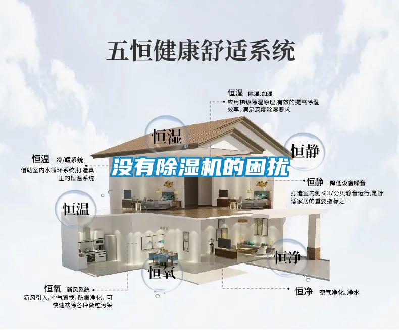 沒有除濕機(jī)的困擾
