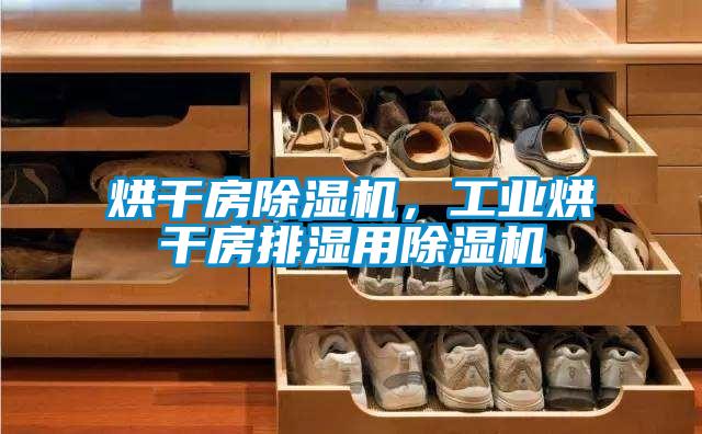 烘干房除濕機(jī)，工業(yè)烘干房排濕用除濕機(jī)