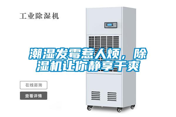 潮濕發(fā)霉惹人煩，除濕機(jī)讓你靜享干爽