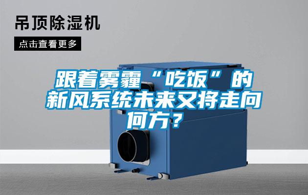 跟著霧霾“吃飯”的新風系統(tǒng)未來又將走向何方？