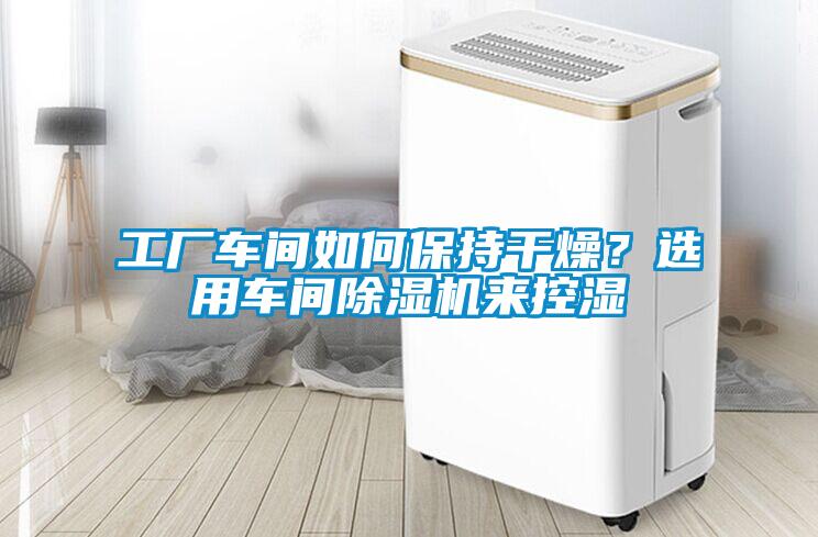工廠車間如何保持干燥？選用車間除濕機來控濕