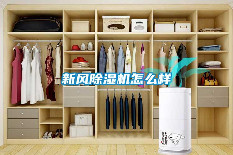 新風除濕機怎么樣