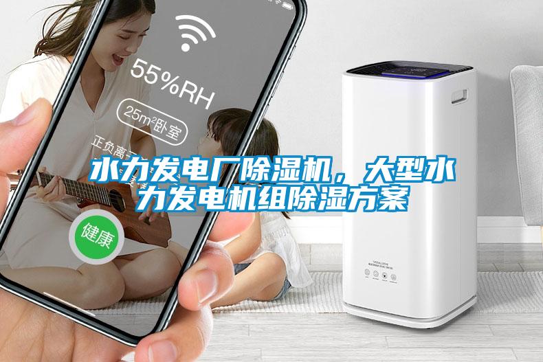 水力發(fā)電廠除濕機，大型水力發(fā)電機組除濕方案
