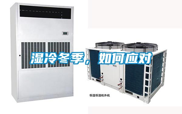 濕冷冬季，如何應對