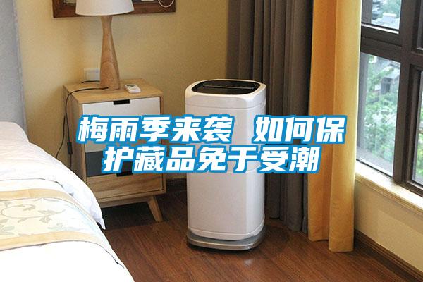 梅雨季來(lái)襲 如何保護(hù)藏品免于受潮