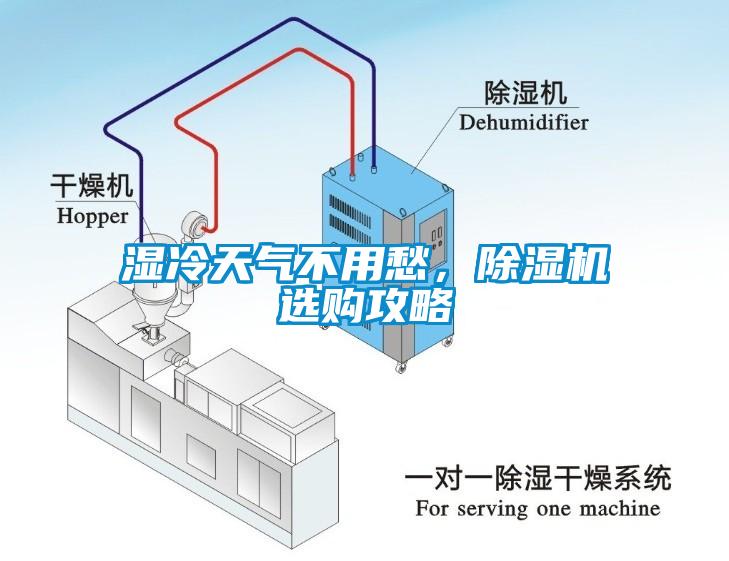 濕冷天氣不用愁，除濕機選購攻略