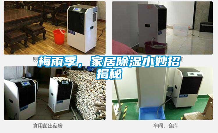梅雨季，家居除濕小妙招揭秘
