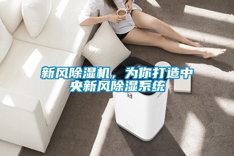 新風(fēng)除濕機，為你打造中央新風(fēng)除濕系統(tǒng)