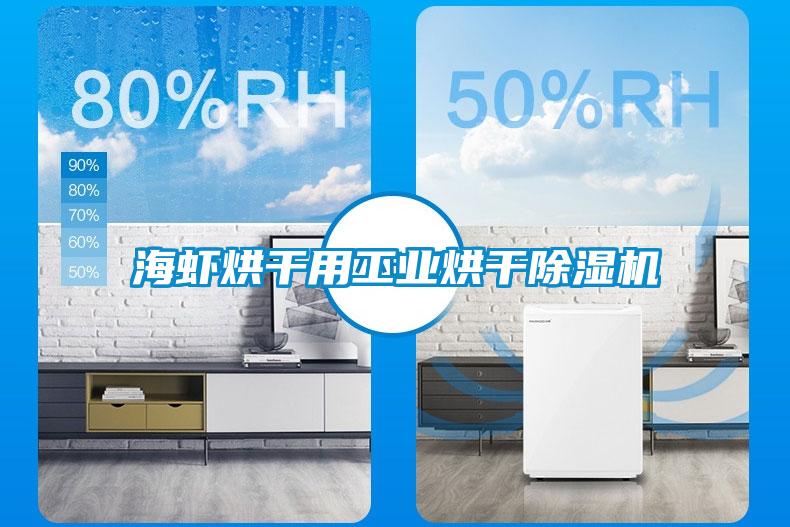 海蝦烘干用工業烘干除濕機