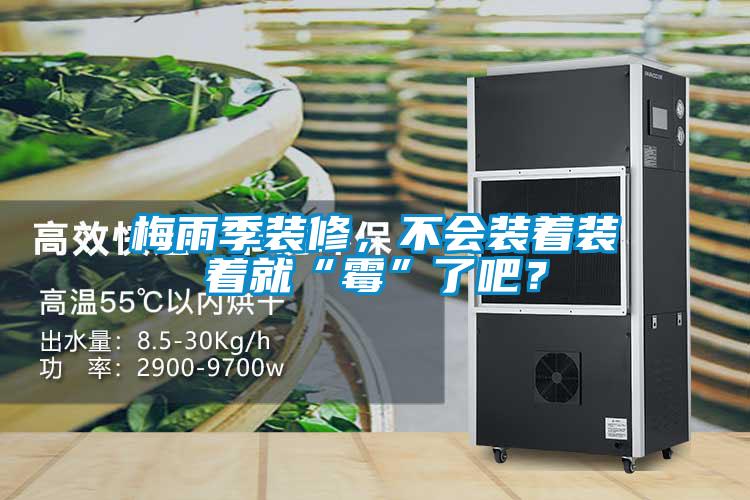 梅雨季裝修，不會(huì)裝著裝著就“霉”了吧？