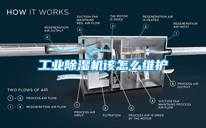 工業(yè)除濕機(jī)該怎么維護(hù)