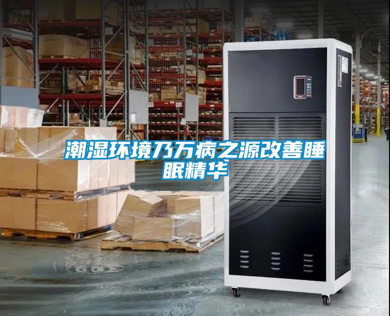 潮濕環(huán)境乃萬病之源改善睡眠精華