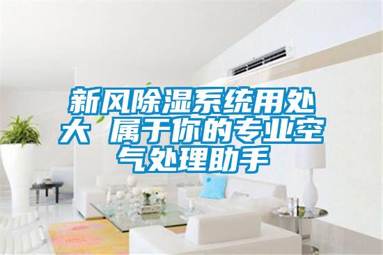 新風(fēng)除濕系統(tǒng)用處大 屬于你的專業(yè)空氣處理助手