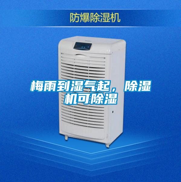 梅雨到濕氣起，除濕機(jī)可除濕