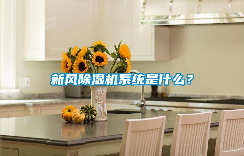 新風(fēng)除濕機(jī)系統(tǒng)是什么？