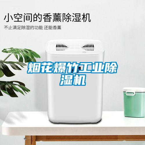 煙花爆竹工業除濕機