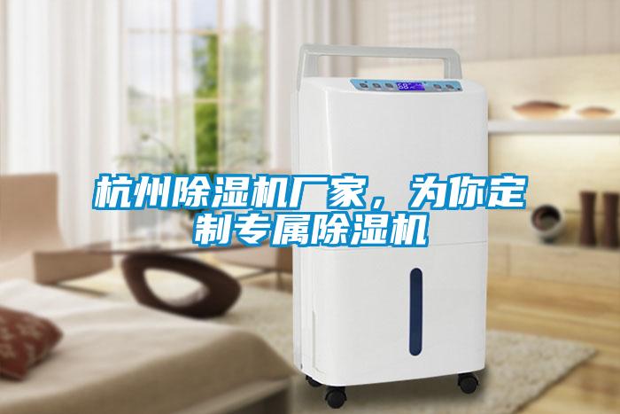 杭州除濕機廠家，為你定制專屬除濕機