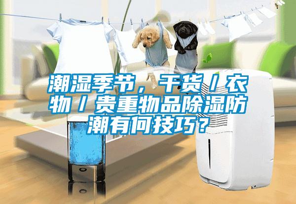 潮濕季節(jié)，干貨／衣物／貴重物品除濕防潮有何技巧？