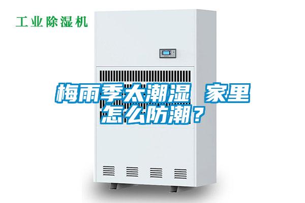 梅雨季太潮濕 家里怎么防潮？