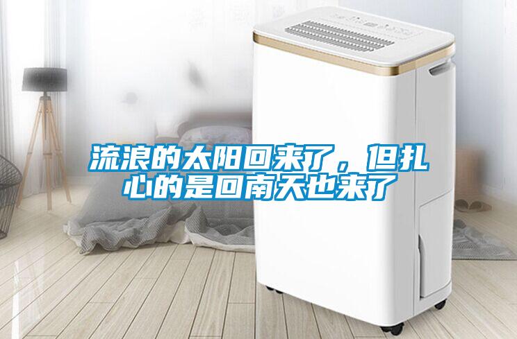 流浪的太陽回來了，但扎心的是回南天也來了