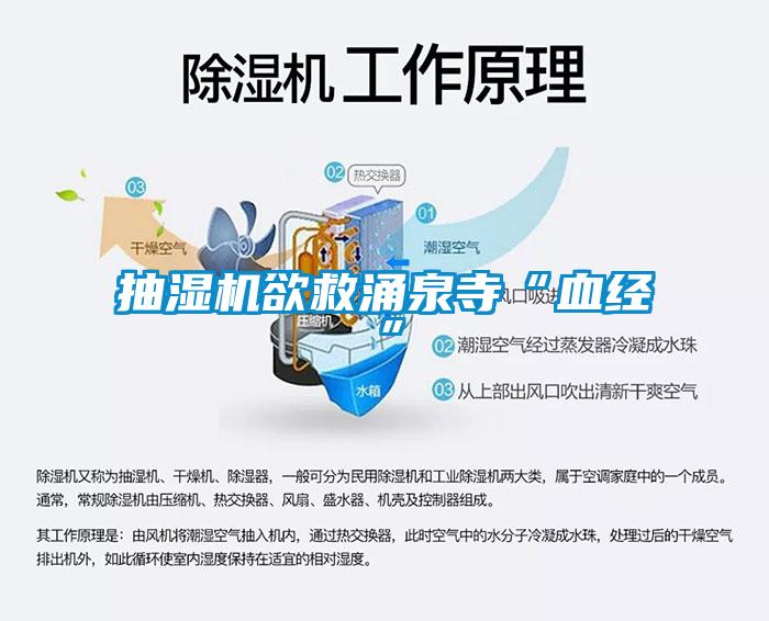 抽濕機欲救涌泉寺“血經”