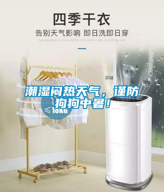 潮濕悶熱天氣，謹(jǐn)防狗狗中暑！