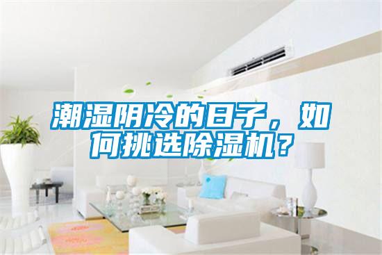 潮濕陰冷的日子，如何挑選除濕機？