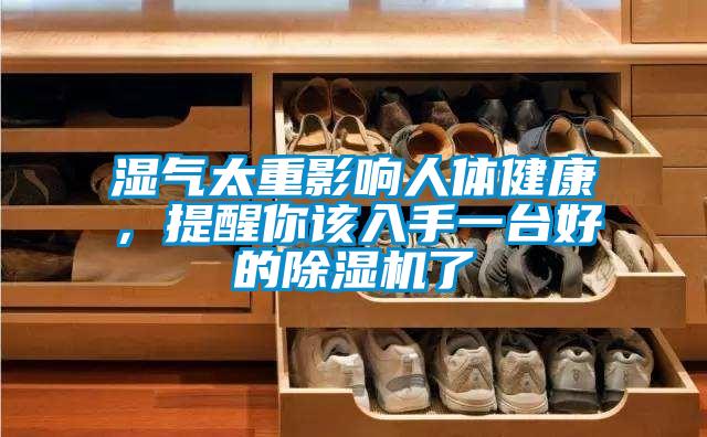 濕氣太重影響人體健康，提醒你該入手一臺好的除濕機了