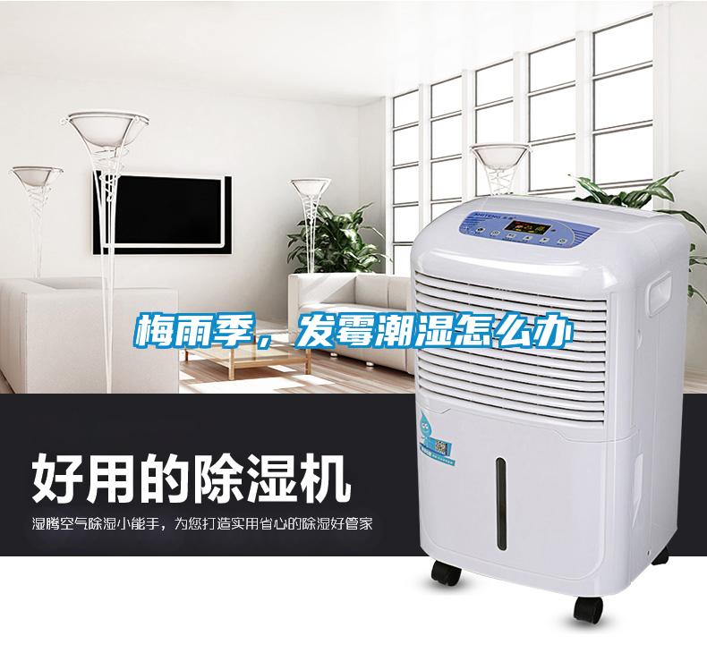 梅雨季，發(fā)霉潮濕怎么辦