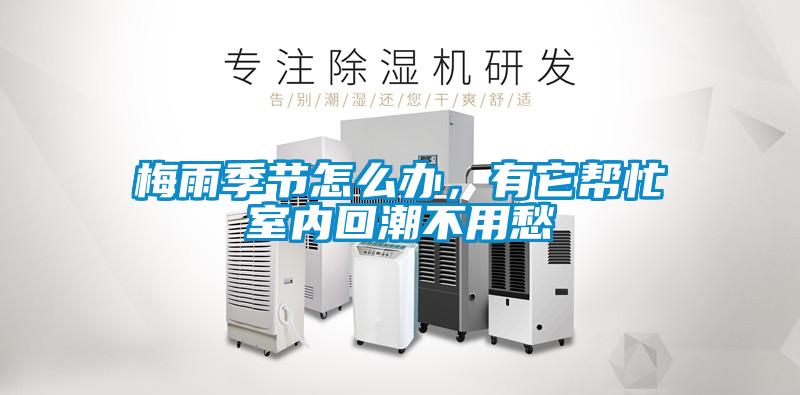 梅雨季節怎么辦，有它幫忙室內回潮不用愁