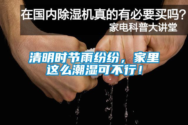 清明時節雨紛紛，家里這么潮濕可不行！